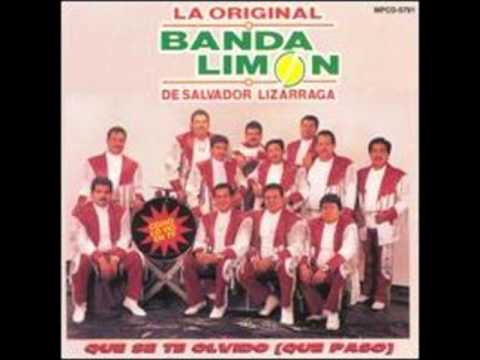la original banda el limon los tres animales.wmv