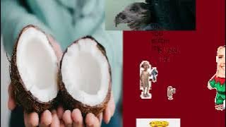 PARADISE (MCM FULL, collab with @Ironik0422 )