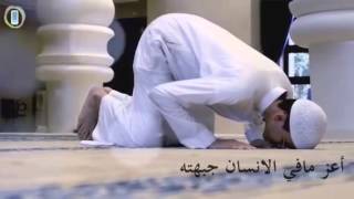 قسما بمن أحل القسم لا يوجد لذة مثل السجود لله   صالح المغامسي - اسمعها