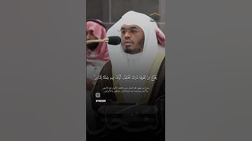 سورة النحل الاية (٦٩) - ياسر الدوسري #قرآن #اكسبلور #ياسرالدوسري #القرآن_الكريم #القران #سورة_النحل