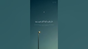 ﴿أولئك سيرحمهم الله﴾ تلاوة رائعة من سورة التوبة للشيخ عبدالله الموسى