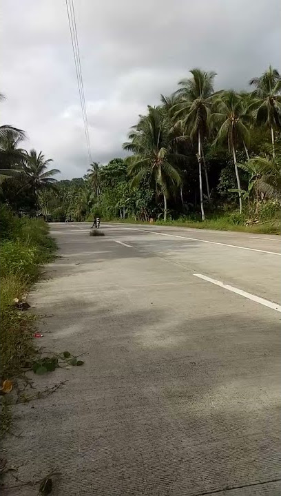Wave 125 open Test drive