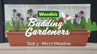 Woodie's Budding Gardeners Task 3 | Micro Meadow