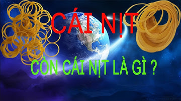 cái nịt là gì | còn cái nịt nghĩa là gì? giải thích ý nghĩa