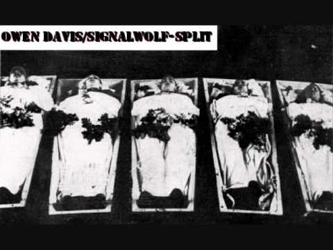 SiGNALWOLF/Spit with Owen D. - Your Face Reflected...