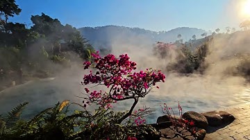 #suoikhoangnongtramtau chỗ tiên cảnh đẹp nhất tây bắc bây giờ bạn nên thử một lần