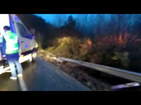 Un herido al despeñarse un coche por un terraplén en Pantón