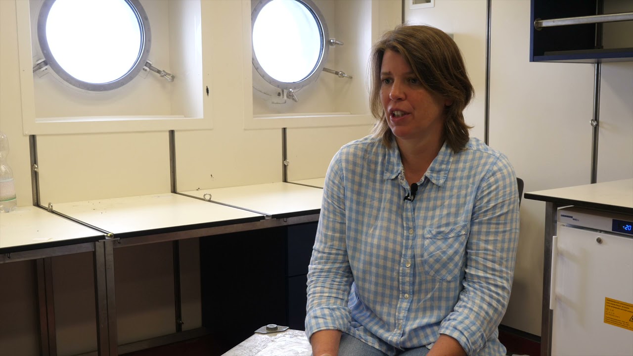 MiningImpact SO268 Biology Hilario