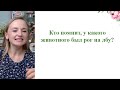 Марафон &quot;Три секрета организации уроков нейролепки&quot;. Регистрация⤵️