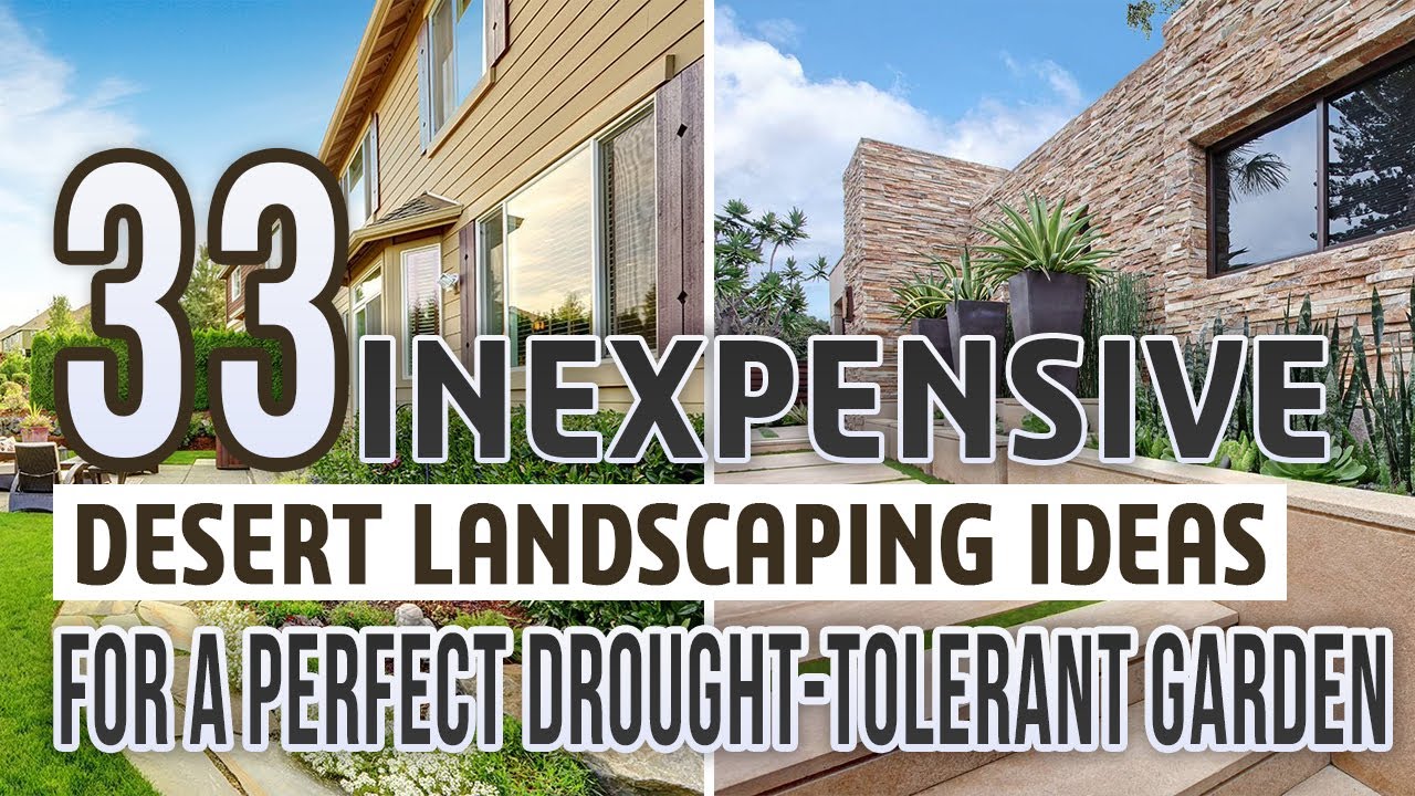 33 Inexpensive Desert Landscaping Ideas For a Perfect Drought-Tolerant Garden