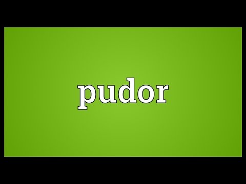 Pudor Meaning