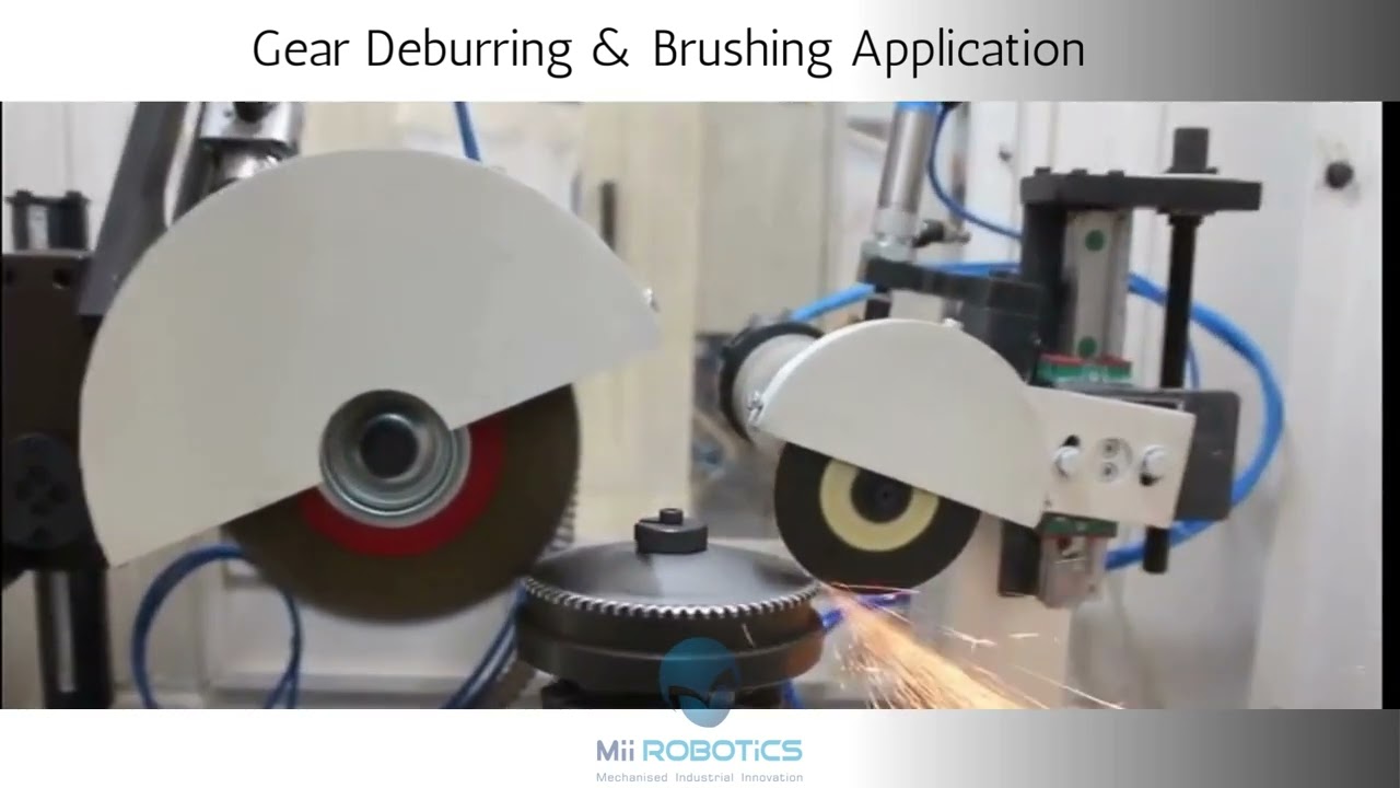 GEAR TEETH DEBURRING & BRUSHING MACHINE  - DB