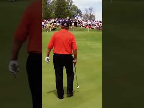 Craziest Golf Shot of all time! 😱 #funny #shorts #reels #golf #girl #asmr