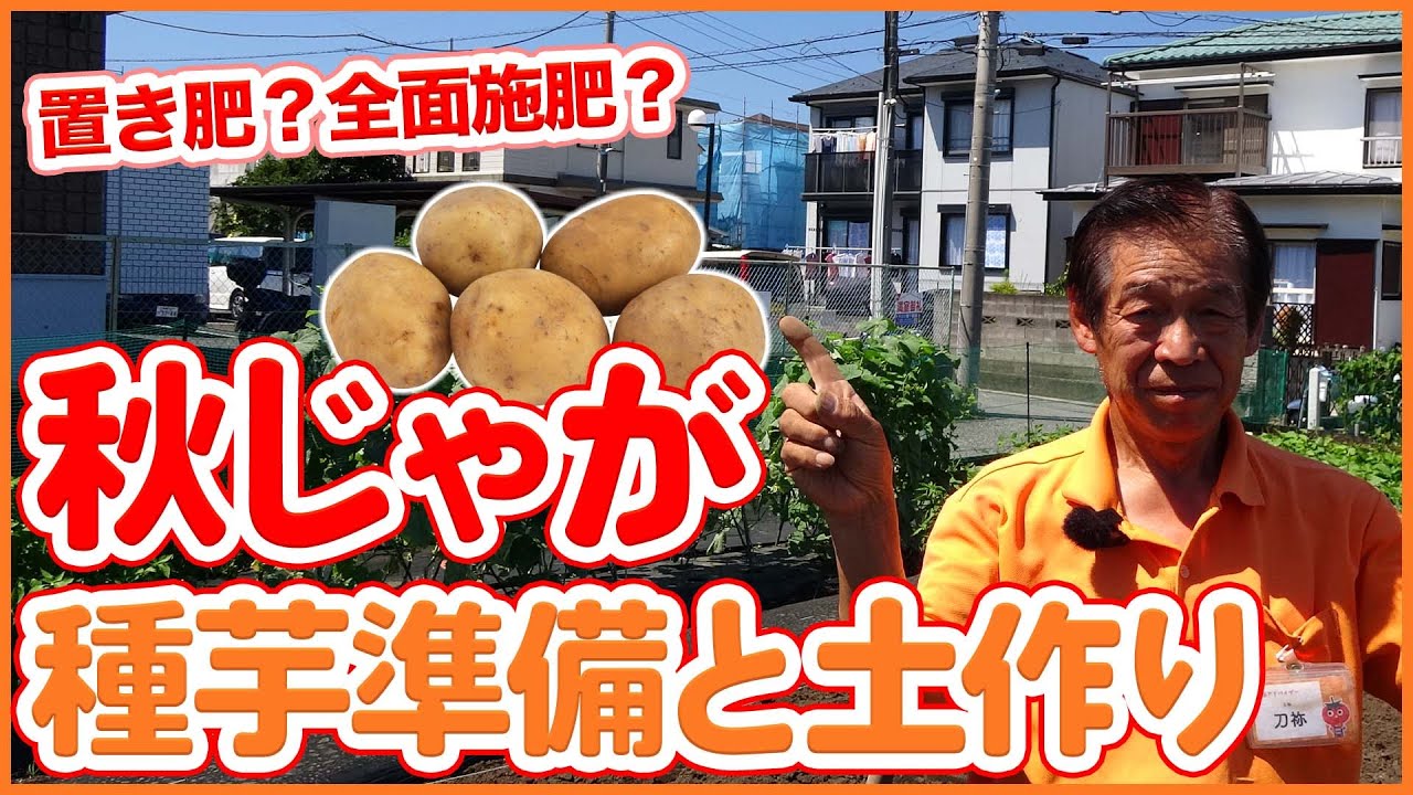 Autumn potato cultivation preparation and soil preparation tips