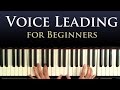 Voice Leading - A Beginner Piano Lesson in Smooth Chord Progressions