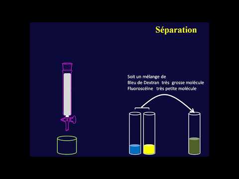 Vidéo: Qu'est-ce que CM Sephadex ?