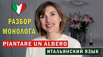Come si scrive correttamente un albero?