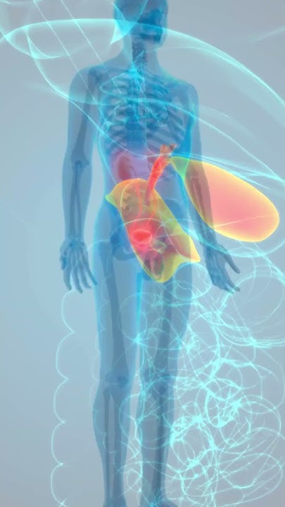 abdomen-pain-treatment-spasrid-tablet-uses-in-urdu-shorts-medicine