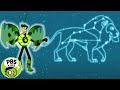 Wild Kratts | What&#39;s Your Favorite Star Pattern? | PBS KIDS