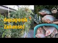 Aquaponic, My Story Episode Nr.2 (Deutsch): Die zweite Saison!