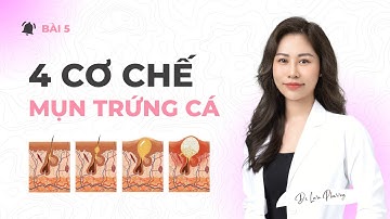 Các nguyên nhân và cơ chế hình thành mụn trứng cá | Dr Lưu Phương [Basic Derma Ep.5]