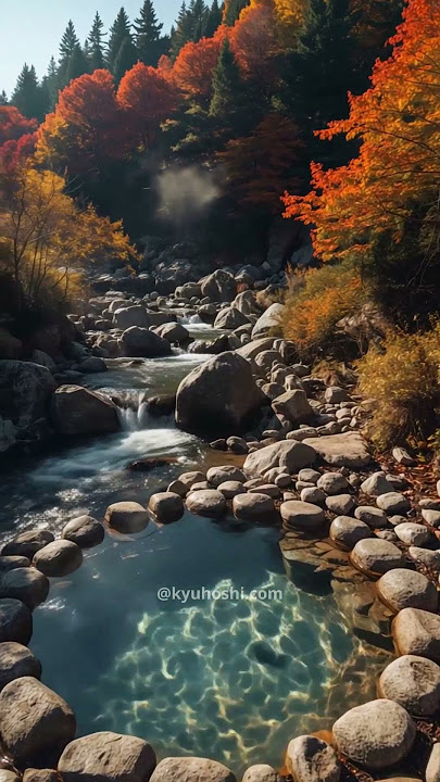 Autumn Foliage in Rural Hokkaido, Japan #nature #shortvideo #beautifulplace #travel #beautiful