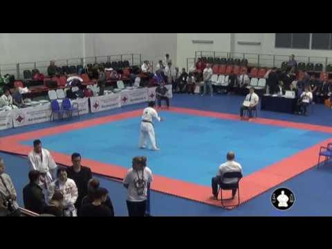 Чемпионат Европы каратэ киокушинкай ката