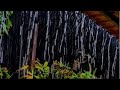 Peaceful Rain Insomnia, Raining Sounds, Relaxing,Reducing Stress, Sleeping Well, Good Feeling