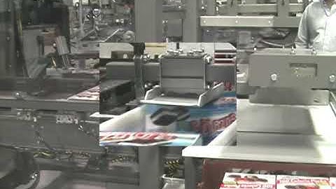 20202 BluePrint Automation Case Packer Gantry 100