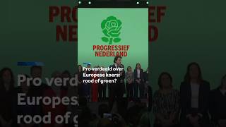 Thumbnail for Europese keuze verdeelt de Pro-fractie