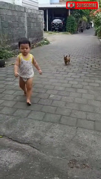 Viral, Bayi 2 tahun digigit anjing gila#shorts  #baby #cute #dog
