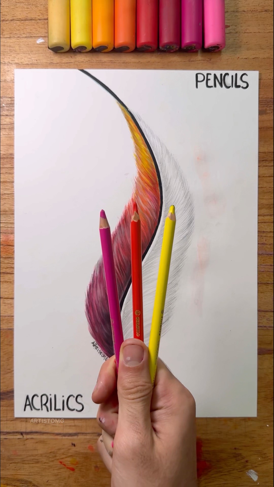 Drawing a Colored Plume with Pencils! ?✨? || What’s your Fav Technique?! ? #artistomg