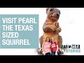 A Giant Squirrel and Pecan Candy Heaven