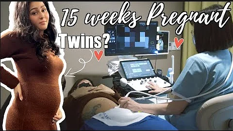 We Are Having Twins! Ultrasound/ Korea Premium Bir...