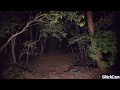 DJ SPORT CLASS-HALLOWEEN 2025