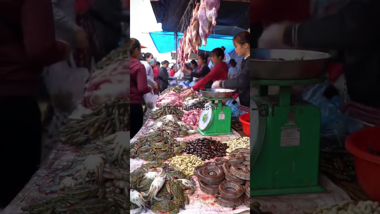 Unique Traditional Asian Street Market Experience@viralmunchies-ai