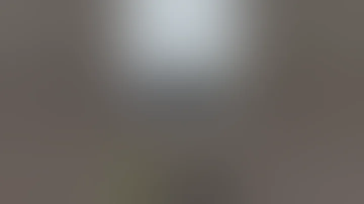 Ukraine  Velika Dimerka now