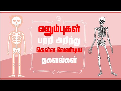 எலும்புகள் பற்றி கண்டிப்பாக தெரிந்துகொள்ள வேண்டிய விஷயங்கள் | Interesting & Miracle Human Body Bones