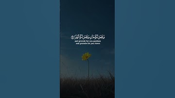 فقلت استغفروا ربكم إنه كان غفارا || سورة نوح || القارئ: هزاع البلوشي