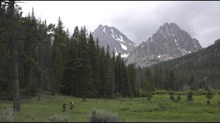 Trail Hunter  Sun Valley