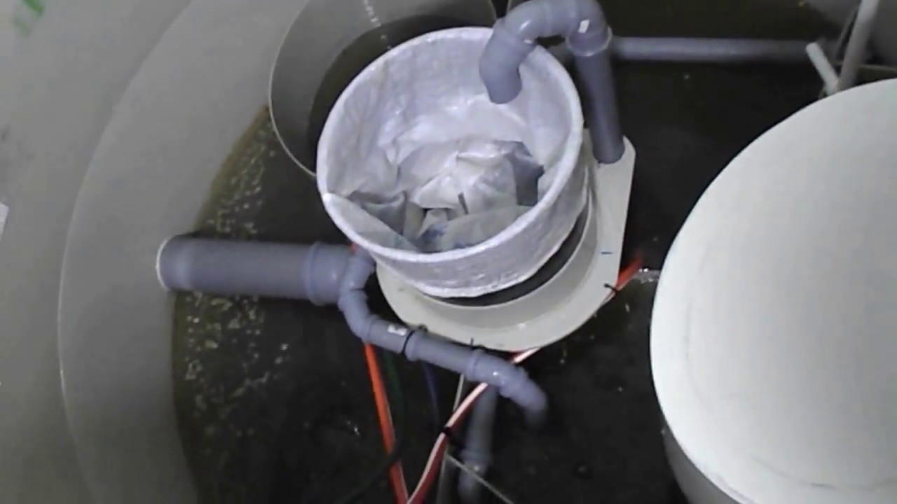 VIDEO STATIE EPURARE ERU