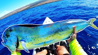 Hawaii Kayak Fishing | Good Friday Mahimahi on Live Bait
