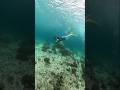 Snorkeling Over Coral at Gili Meno in 360° | Crystal Water Bali