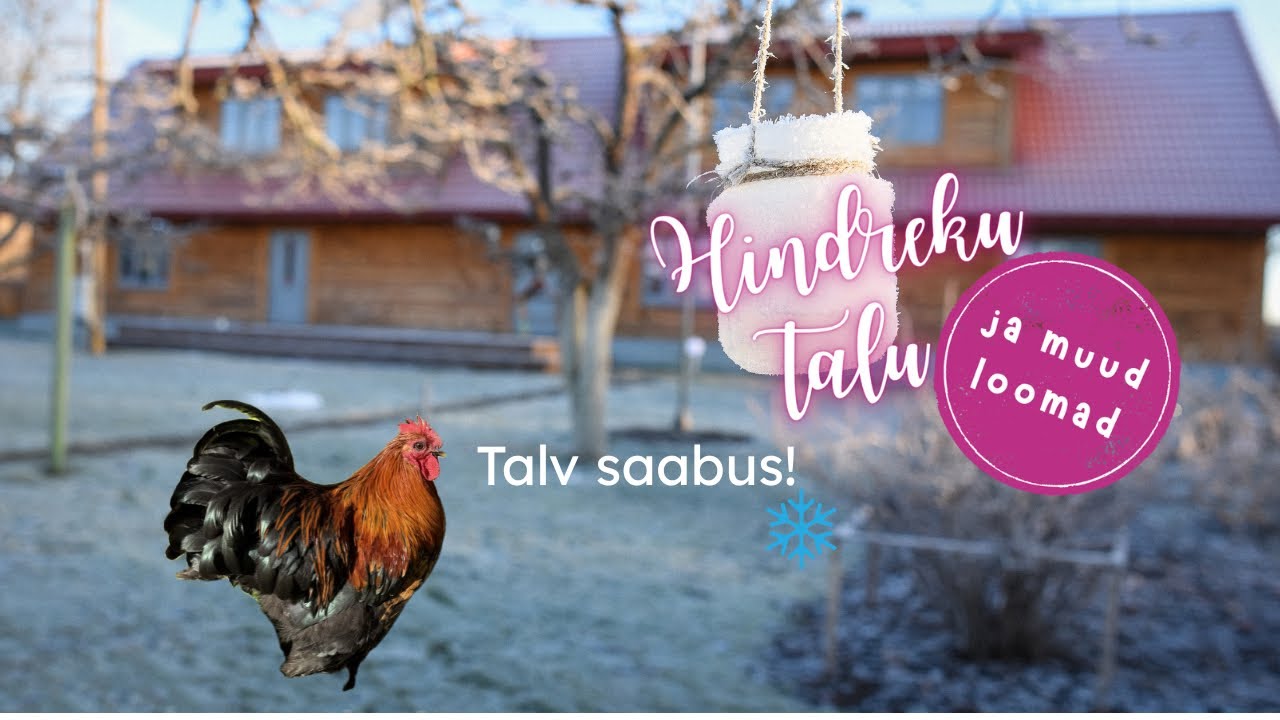 Hindreku talu vlog 7