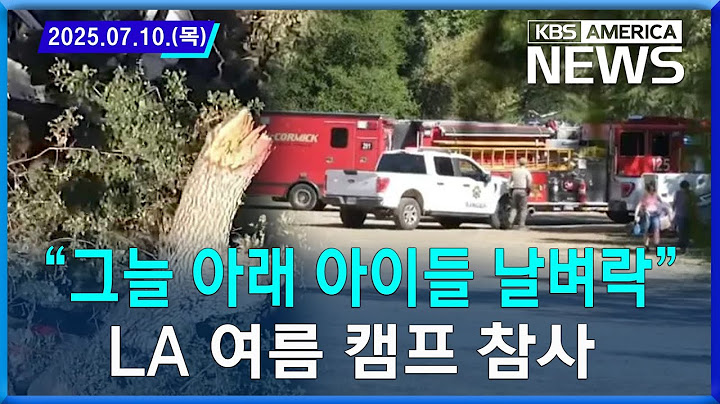 “그늘 아래 아이들 날벼락"...LA 여름 캠프 참사 / 2025. 07. 10