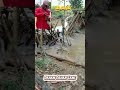Funy video