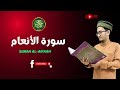 FULL SURAH AL AN AAM Nasaei Najmi سورة الأنعام كاملة للقارئ نسائي نجمي