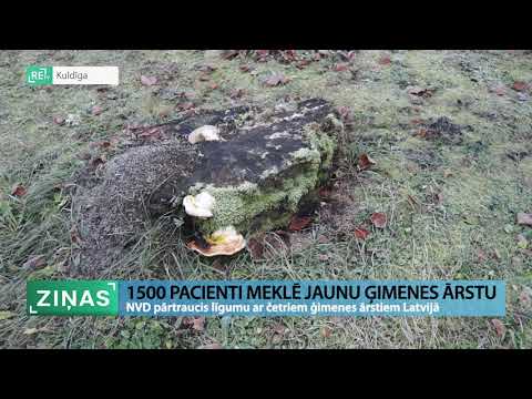 Video: Muntsalade Met Brandnetels