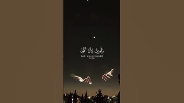 الشيخ ماهر المعيقلي #قرآن #اكسبلور #تلاوة_خاشعة #لايك #راحة_نفسية