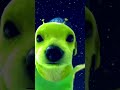 Like és feliratkozás
